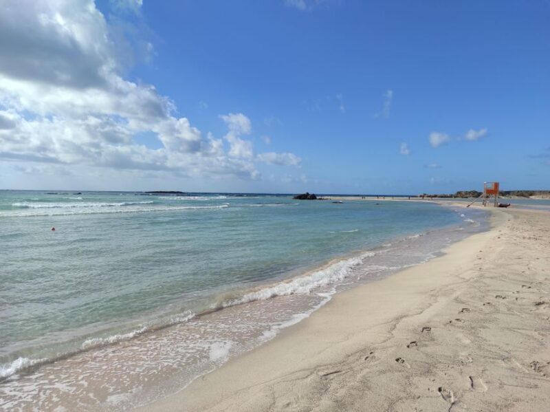 Chania Pink Sand Beaches Private Tour: Elafonisi & Falasarna - The Sum Up