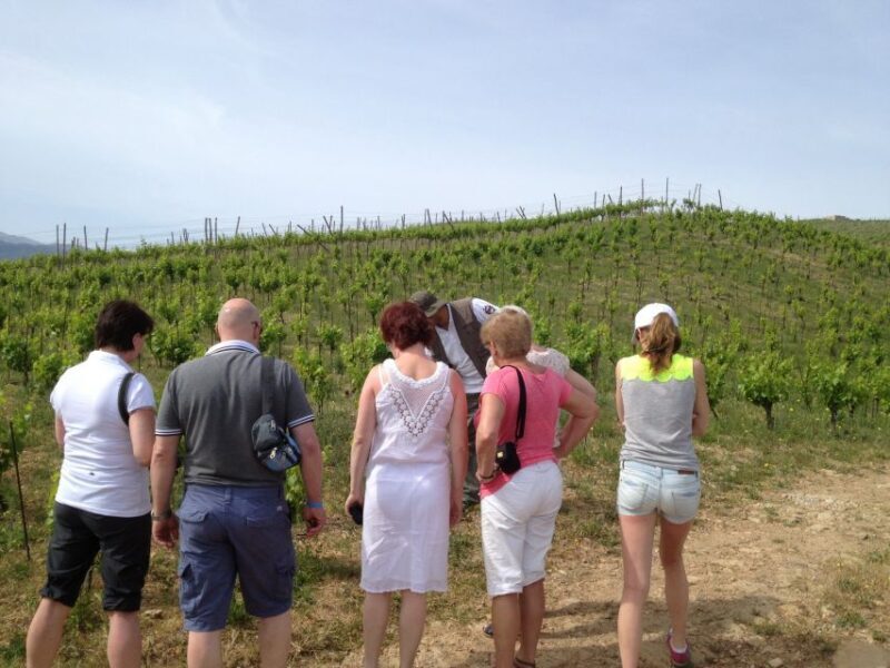 Chania Premium Sunset Safari Tour - Key Points