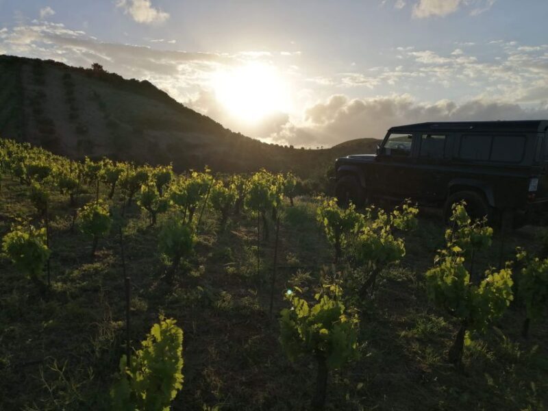 Chania Premium Sunset Safari Tour - Final Thoughts