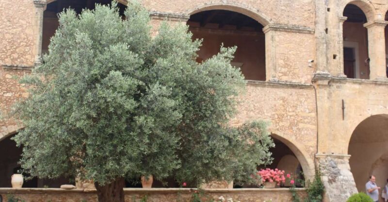 Chania Private Olive Oil Tour: Oil Tasting & Villages Tour - The Practical Side: What You Need to Know