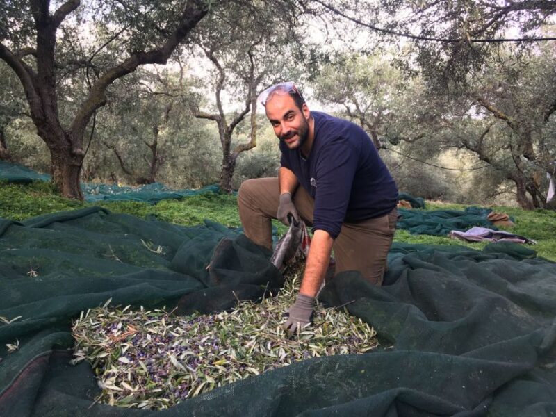 Chania Private Olive Oil Tour: Oil Tasting & Villages Tour - Who This Tour Is Best For