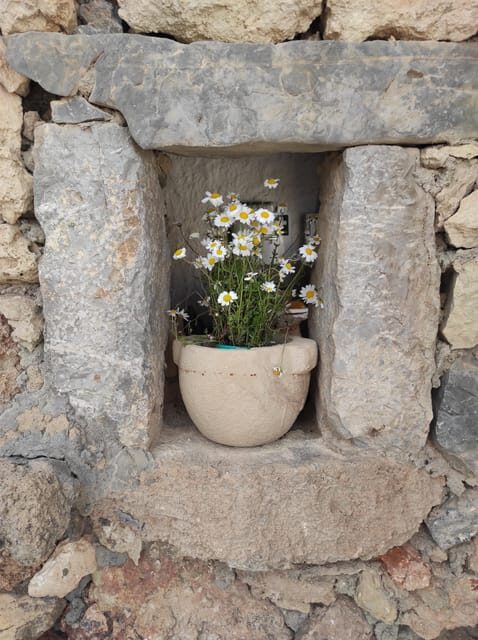 Chania: Private Walking Tour: History, Sights, Food & Senses - The Value of the Experience