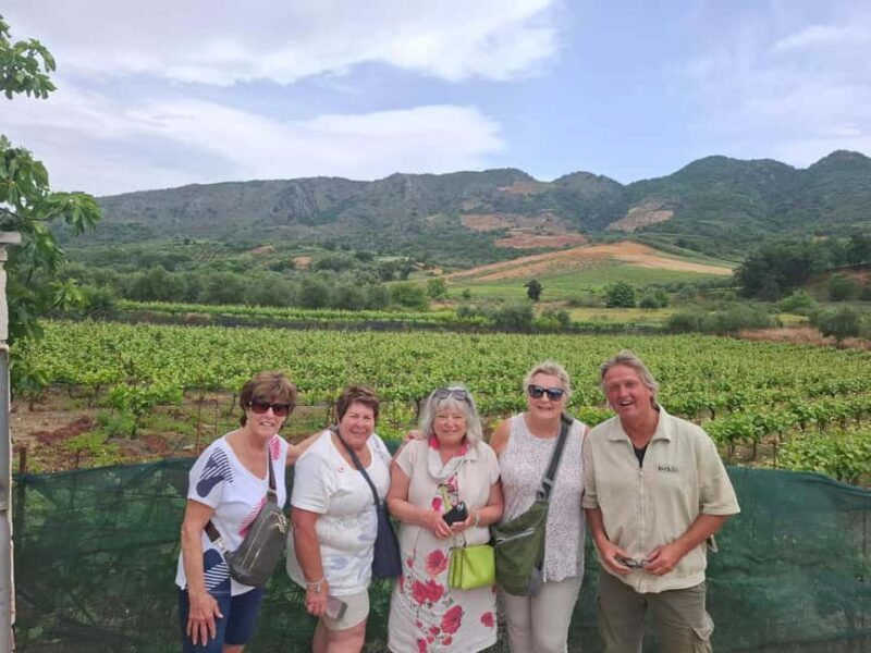 Chania Private Wine Tasting Tour & Theriso Village Visit - Who Will Love This Tour?