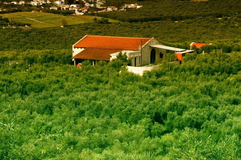 Chania: Pure Cretan Olive Oil, Wine, & Beer Experience - Practical Details
