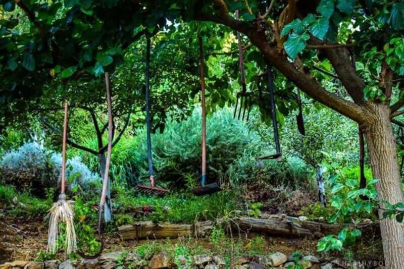 Chania Safari & Botanical Garden  Nature & Aromas Tour - Chania Safari & Botanical Garden Nature & Aromas Tour