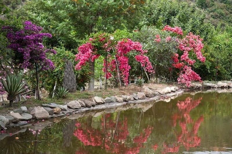 Chania Safari & Botanical Garden  Nature & Aromas Tour - Key Points
