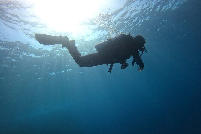 Chania Scuba Diving 2 Shore Dives(Receive Certification) - Who Should Consider This Tour?