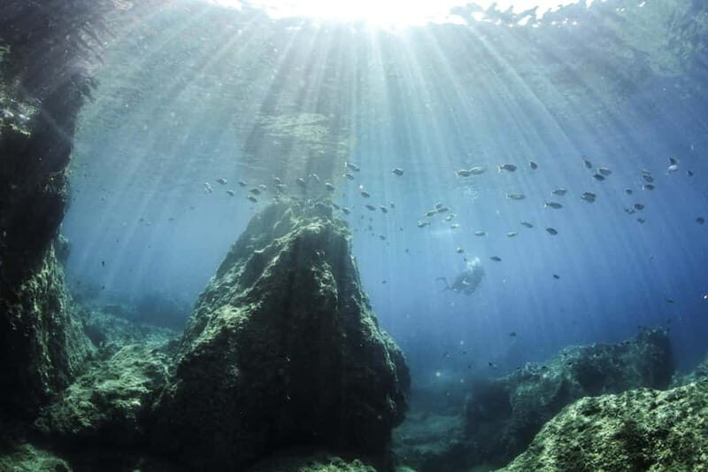 Chania: Scuba Diving and Snorkeling for Beginners by Boat - FAQ