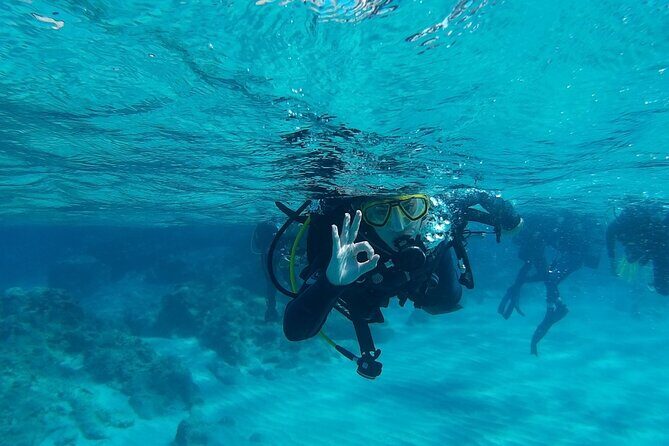 Chania: Scuba Diving for Beginners - A Closer Look at the Chania Scuba Tour: What to Expect