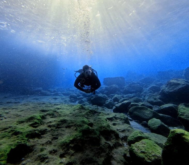 Chania Scuba Diving | Fun Dives | Certified Divers - Chania Scuba Diving | Fun Dives | Certified Divers