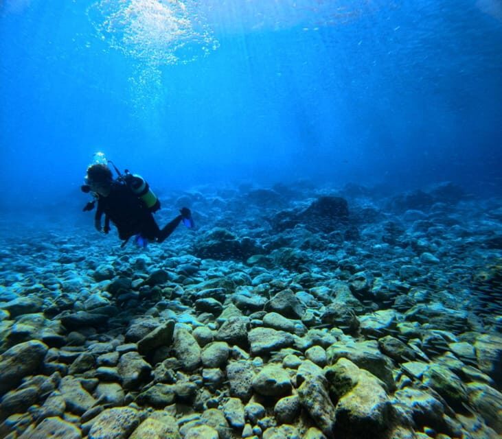 Chania Scuba Diving | Fun Dives | Certified Divers - Final Thoughts