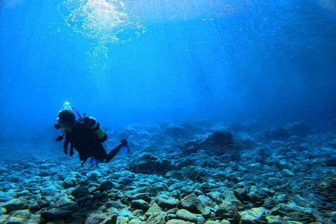 Chania Scuba Diving | Fun Dives | Certified Divers - Final Thoughts
