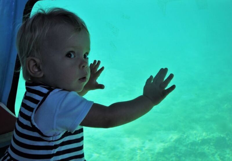 Chania: Semi-Submarine Boat Underwater Experience - Is this tour worth it?