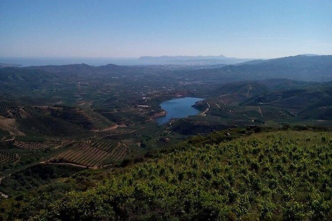 Chania Shore Excursion Off Road Vineyard and Winery Tour Half Day - Considerations for Travelers