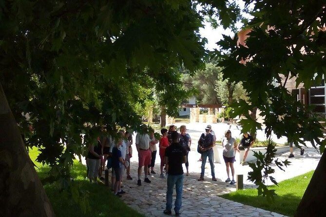 Chania Shore Excursion Off Road Vineyard and Winery Tour Half Day - Final Thoughts: Authentic, Scenic, and Flavorful