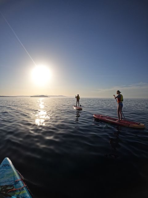 Chania: Stand-up Paddleboard Coastal Sunset Experience - An Authentic Sunset Paddleboarding Experience in Chania