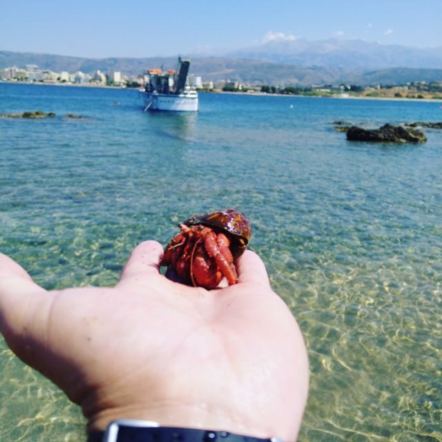 Chania Town: Glass-Bottom Boat Cruise to Thodorou & Lazareta - Chania Town: Glass-Bottom Boat Cruise to Thodorou & Lazareta