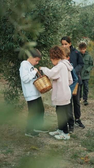Chania Treasure Hunt : In olive Mill - The Treasure Hunt: Fun, Myth, and Nature