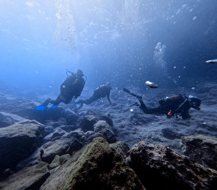 Chania | Try Scuba Diving | Private Introduction Dive - Key Points