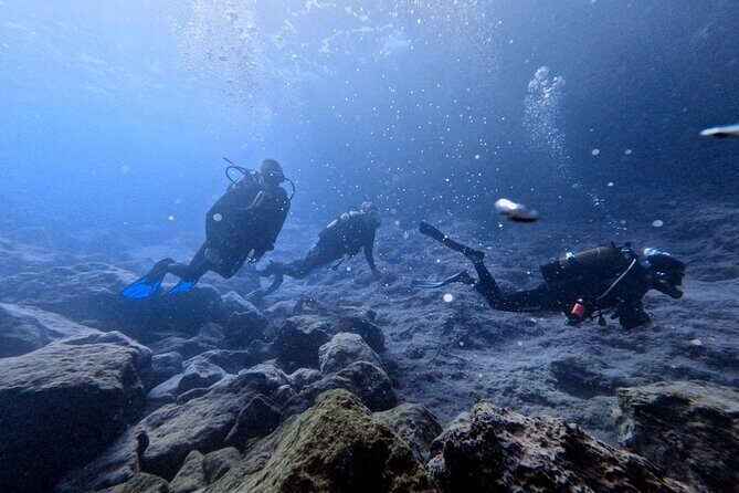 Chania | Try Scuba Diving | Private Introduction Dive - Chania | Try Scuba Diving | Private Introduction Dive: A Detailed Review
