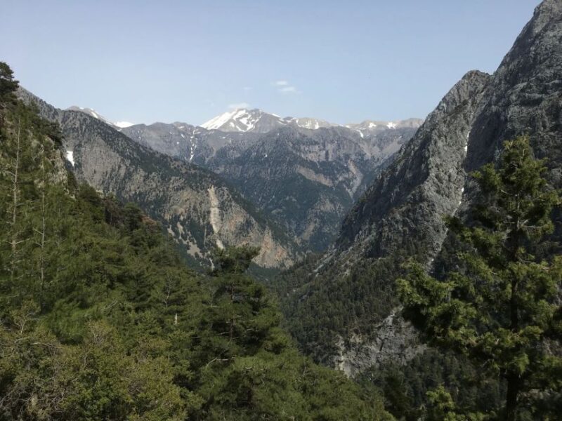 Chania White Mountains Private Tour: From Sea to Summit - Considerations and Who Should Book
