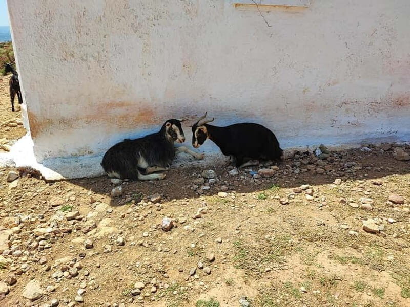 Chania:Balos&Falassarna Private Jeep Safari + Lunch&Loungers - Key Points