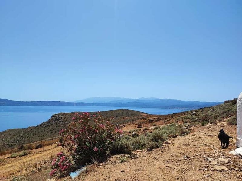 Chania:Balos&Falassarna Private Jeep Safari + Lunch&Loungers - Who Would Love This Tour?