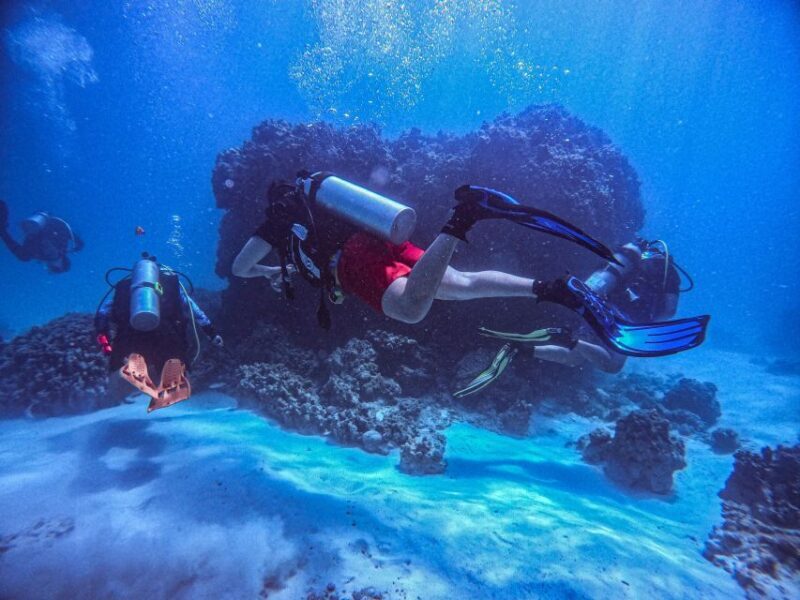 Chania:Try Scuba Diving 2shore dives(Receive Certification) - What Makes This Tour Stand Out