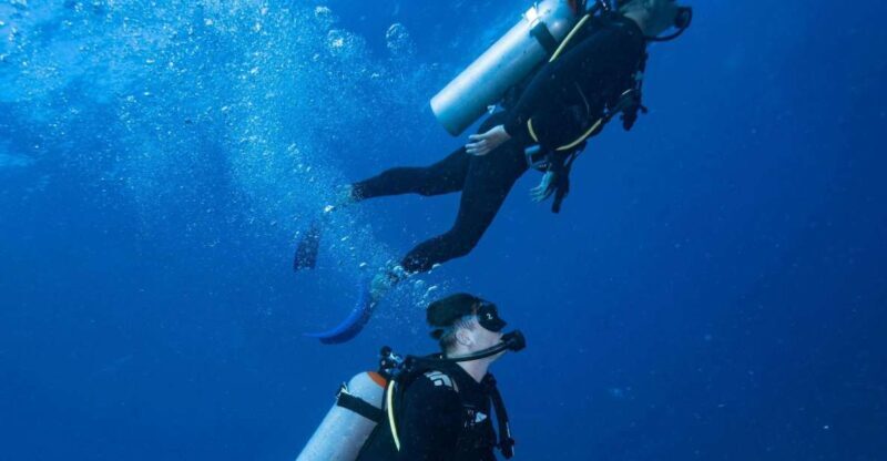 Chania:Try Scuba Diving 2shore dives(Receive Certification) - The Itinerary in Detail