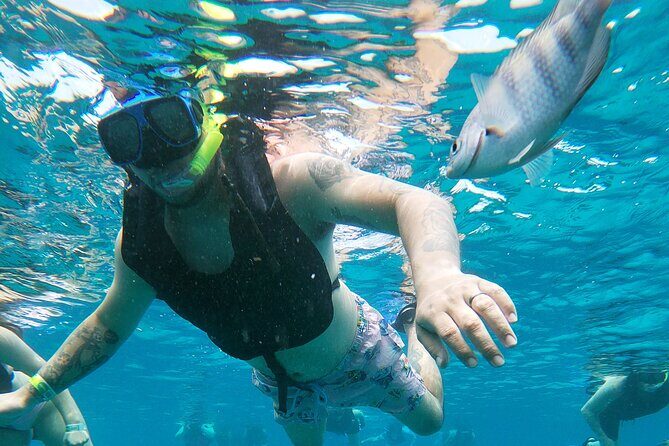 Chankanaab Park Admission + Welcome drink + Snorkeling - The Sum Up