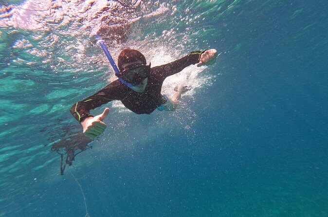 Chankanaab Park entrance ticket with snorkeling and buffet included - What Makes Chankanaab Park Stand Out?