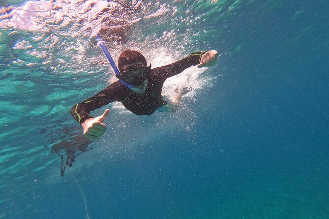 Chankanaab Park entrance ticket with snorkeling and buffet included - Real Traveler Insights