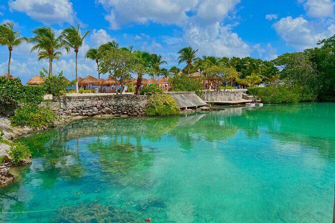 Chankanab Park Admission +Open bar +Lunch included +Snorkeling - What Reviews Reveal