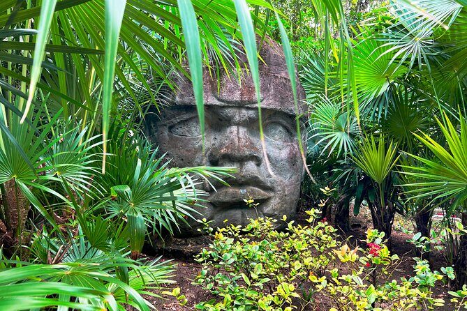 Chankanab Park Admission +Open bar +Lunch included +Snorkeling - Final Thoughts on Chankanaab Park’s All-Inclusive Day Pass