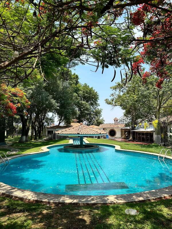 Chapala and Ajijic Tour from Guadalajara with 3 Potrillos - Overview of the Chapala and Ajijic Tour from Guadalajara with 3 Potrillos