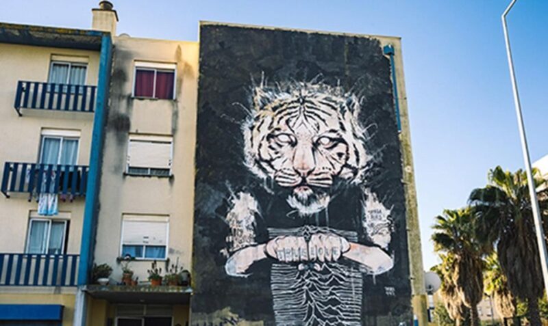 Chaparru`s Street Art Tuk Tuk Tour 3 H - The Sum Up: Is It Worth Your While?