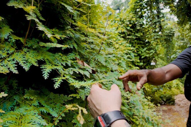 Charco Frío y Las Tinajas Experience with Provista Tours - In-Depth Review of the Charco Frío y Las Tinajas Experience
