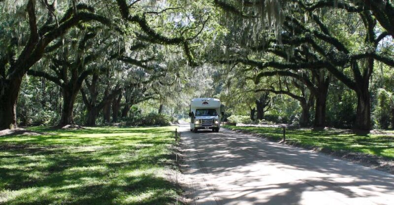 Charleston: Boone Hall Plantation Entry & Tour w/ Transport - A Detailed Look at the Boone Hall Plantation Tour