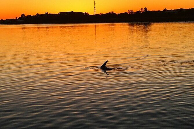 Charleston Dolphin Cruise Scenic Harbor Adventure - Setting the Scene: Starting Point and Duration