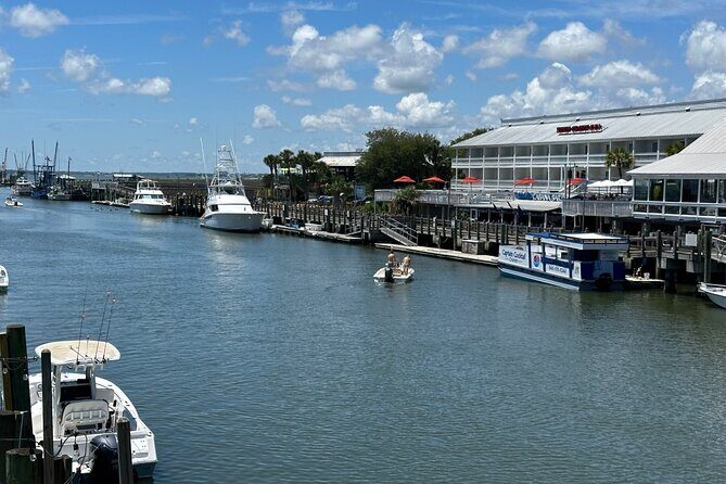 Charleston Dolphin Cruise Scenic Harbor Adventure - Price, Value, and Booking Tips