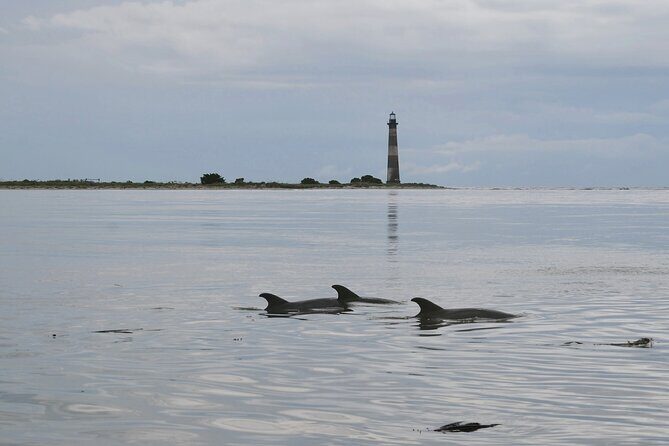 Charleston Eco Boat Cruise with stop at Morris Island Lighthouse - Key Points