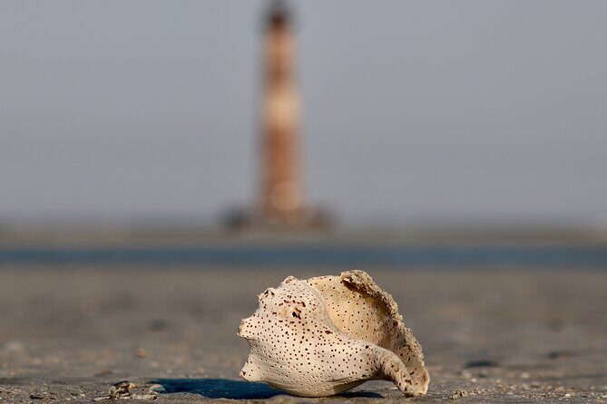 Charleston Eco Boat Cruise with stop at Morris Island Lighthouse - The Sum Up