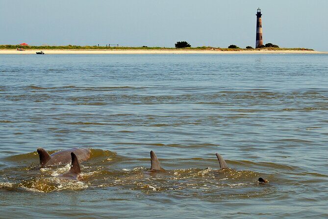 Charleston Eco Boat Cruise with stop at Morris Island Lighthouse - Frequently Asked Questions