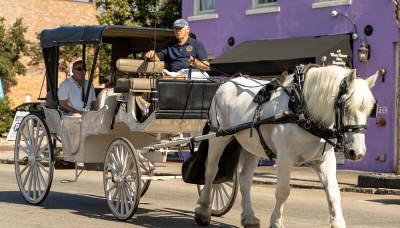 Charleston: Evening Carriage Tour - Exploring Charleston at Night: A Detailed Review