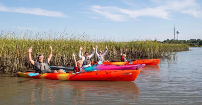 Charleston: Folly Beach Afternoon Kayak Dolphin Safari - What to Expect on the Kayak Dolphin Safari