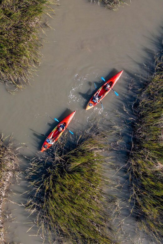 Charleston: Folly Beach Afternoon Kayak Dolphin Safari - Analyzing the Value and Experience