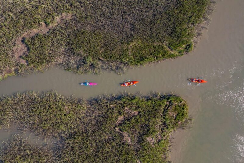 Charleston: Folly Beach Afternoon Kayak Dolphin Safari - Who Will Love This Tour?