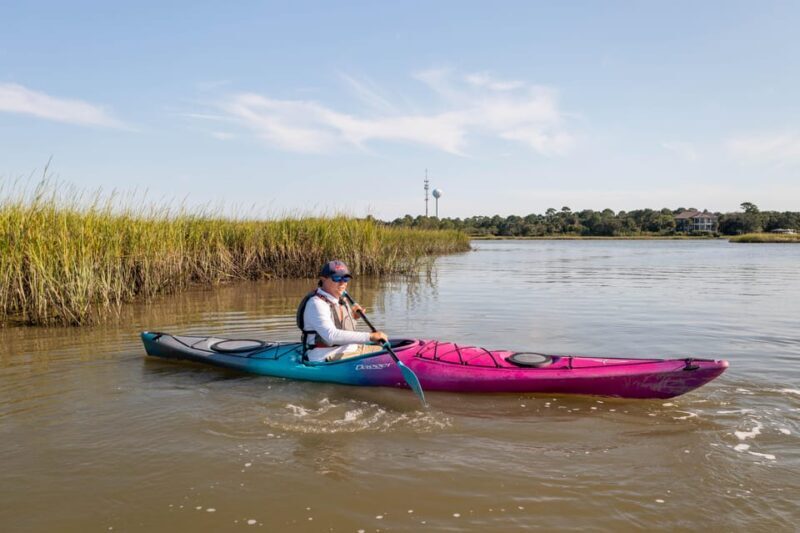 Charleston: Folly Beach Afternoon Kayak Dolphin Safari - The Sum Up
