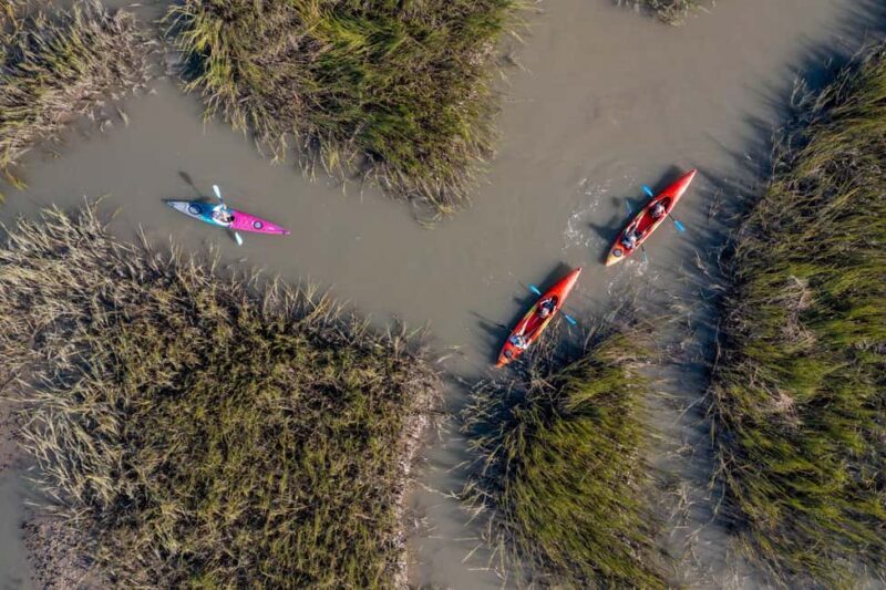 Charleston: Folly Beach Morning Kayak Dolphin Safari - Final Thoughts