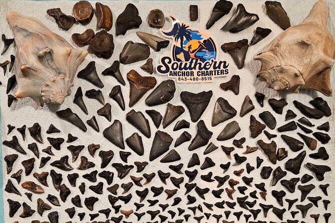 Charleston/Folly Beach Shark Tooth and fossil Island Drop off - Final Thoughts: Is This Tour Right for You?
